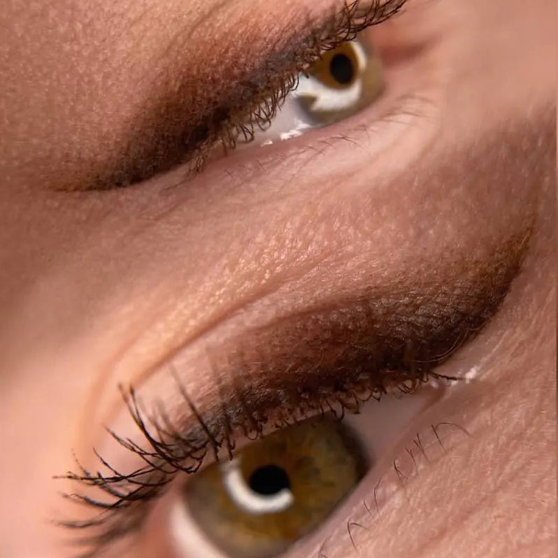 Hanafy Eyes & Brows pigments by Olga Kostinetskaya