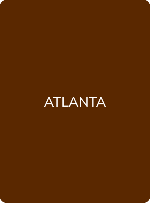 Hanafy Atlanta No.2 Augenbrauenpigment von Julia Vasileva für PMU-Augenbrauen