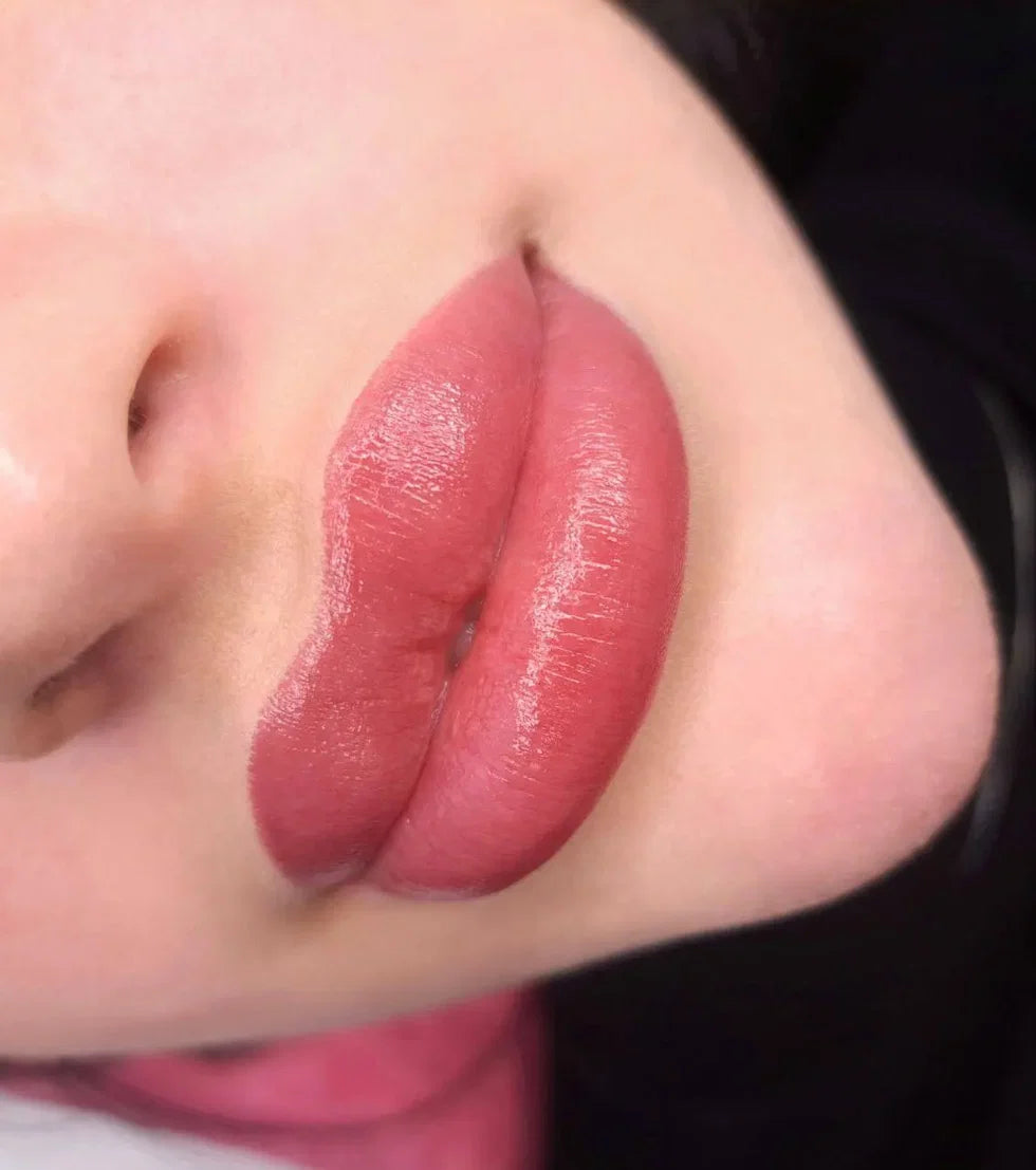 Hanafy Set Lips Main Collection – 10 Hybridpigmente
