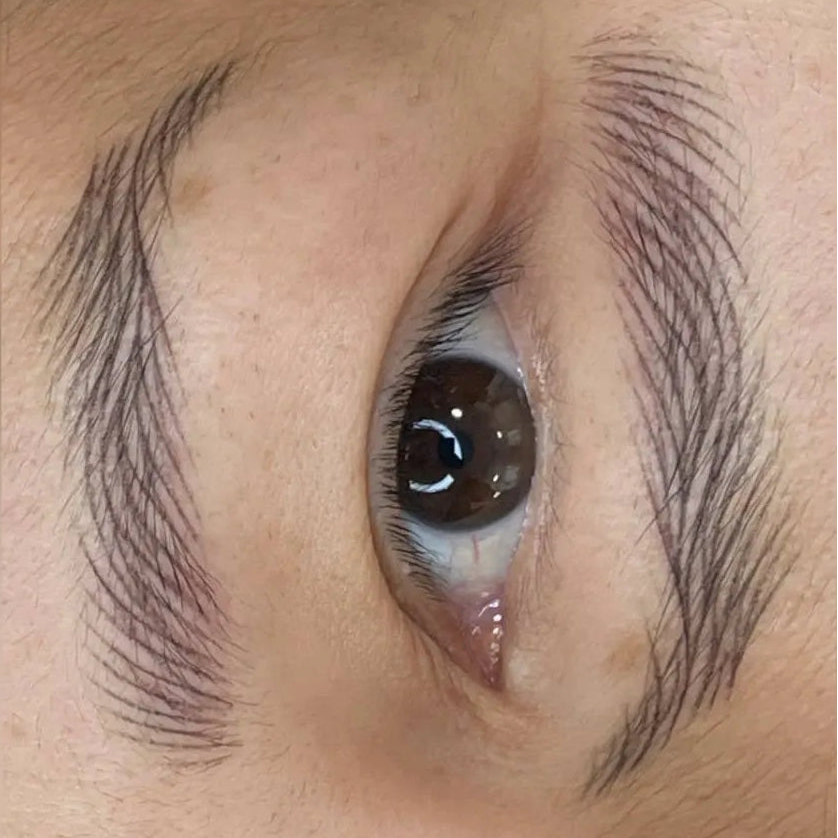 hanafy dark brunette and black brown brows pigments