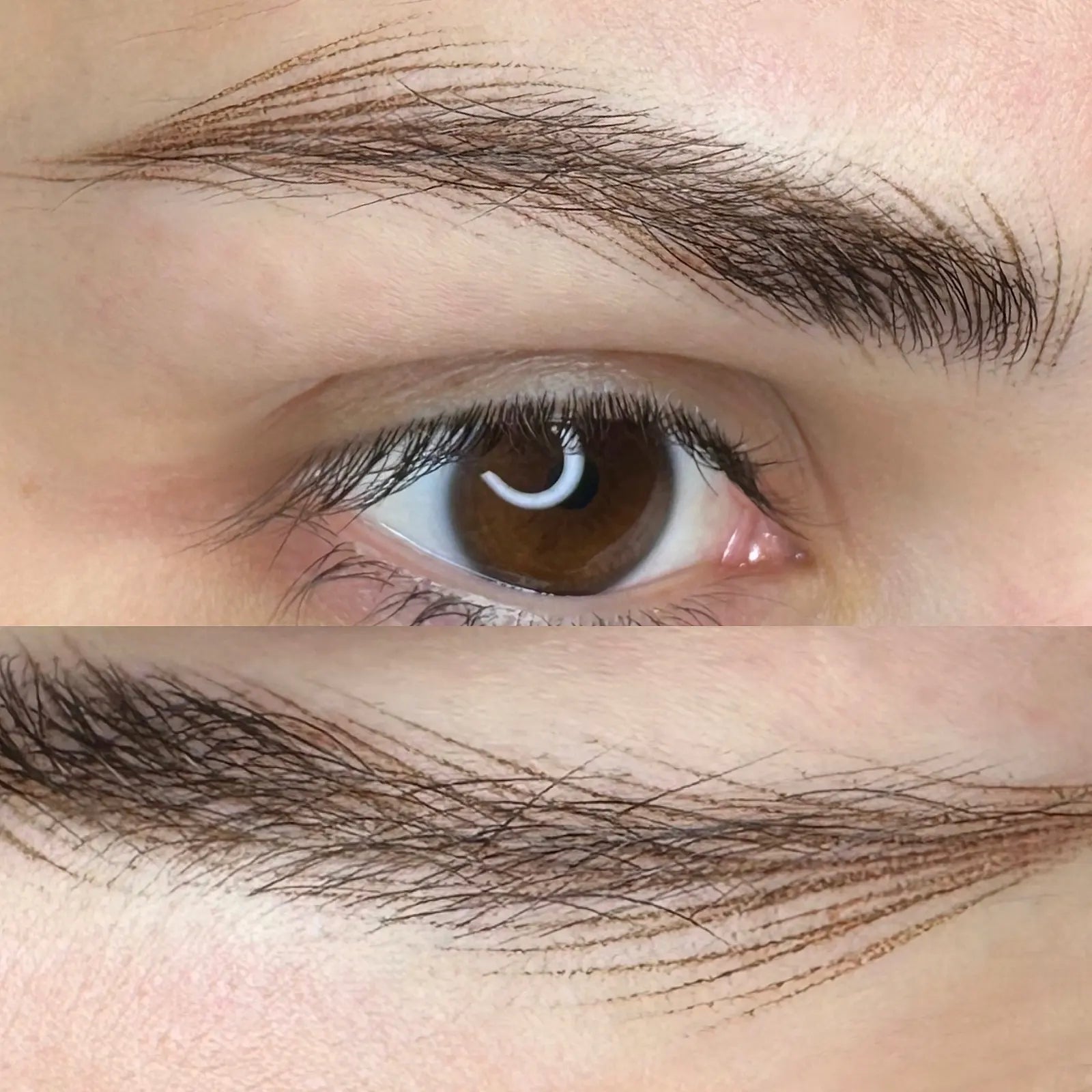 hanafy hyperrealism brows hairstroke