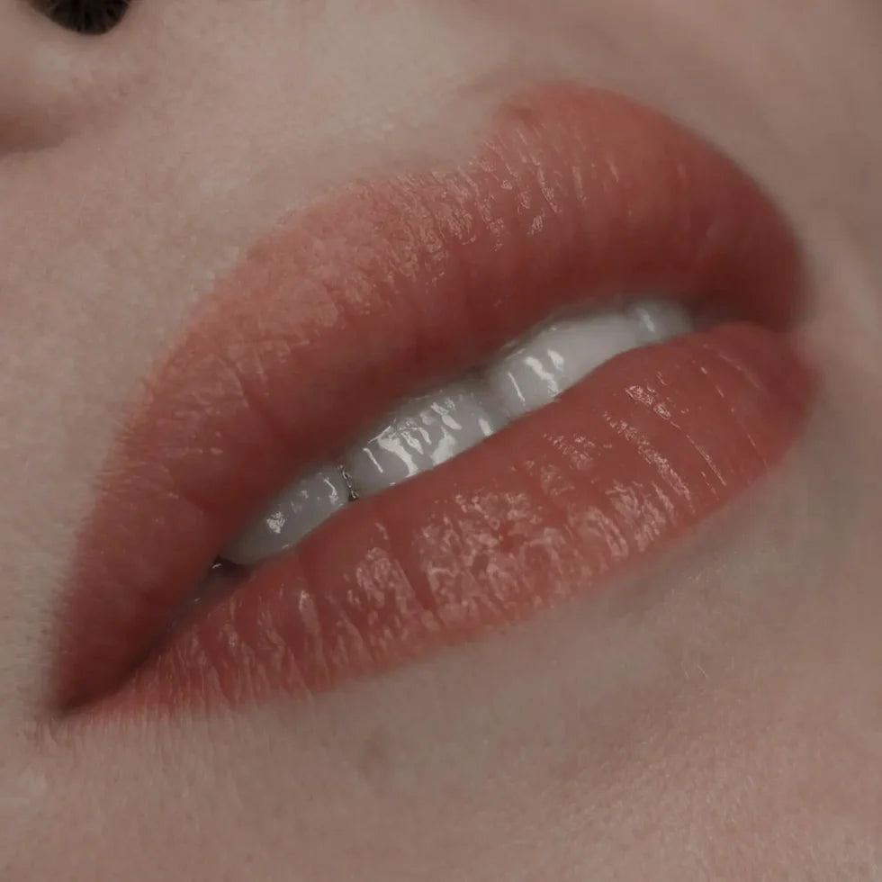 Hanafy Set Lips Main Collection – 10 Hybridpigmente
