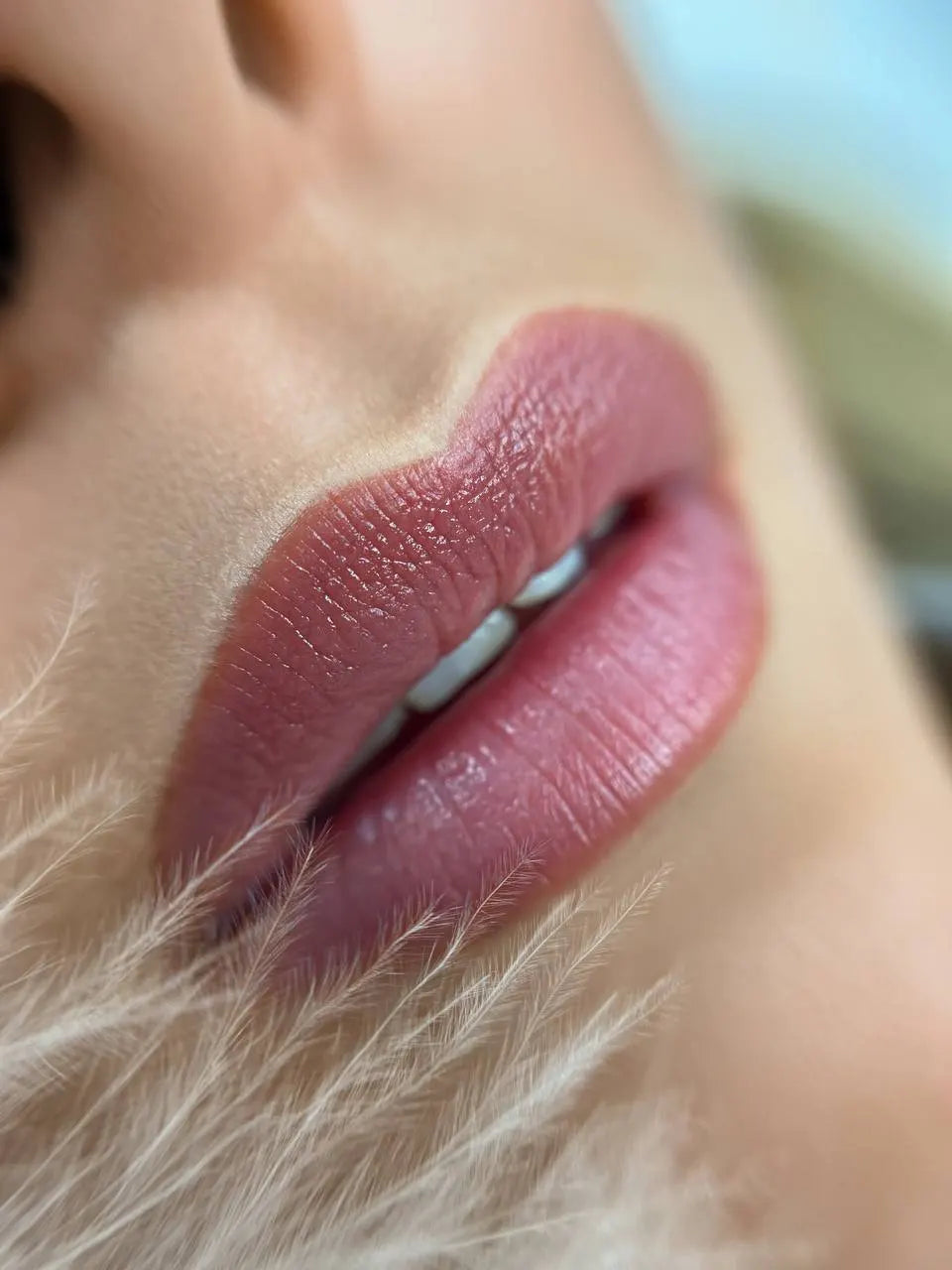 Hanafy Set Lips Main Collection – 10 Hybridpigmente
