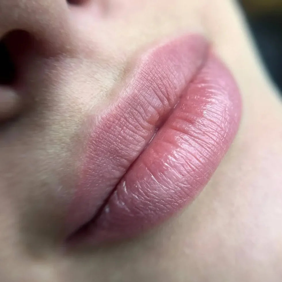 Hanafy Set Lips Main Collection – 10 Hybridpigmente
