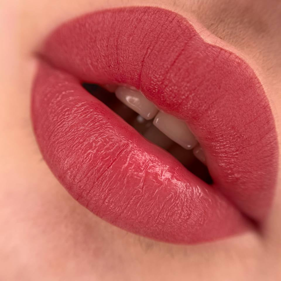 Lippen-PMU mit einer Mischung aus FACE Carrie, Caramel, Tyra und Amsterdam