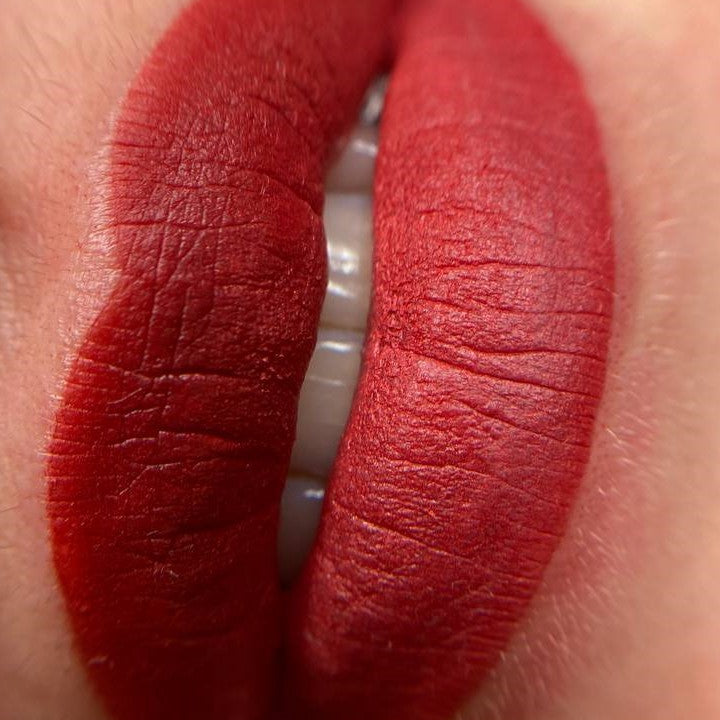 Lip PMU with a FACE Megan and Miranda pigment mix