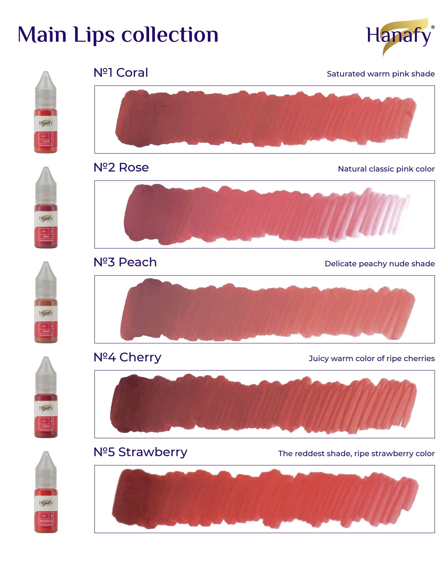 Hanafy Set Lips Main Collection – 10 Hybride Pigmenten