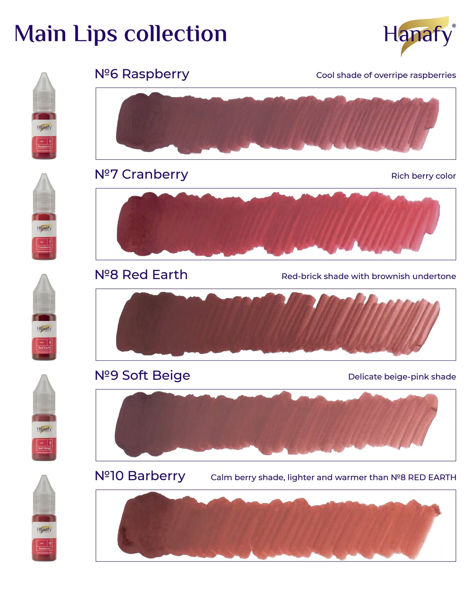 Hanafy Set Lips Main Collection – 10 Hybride Pigmenten
