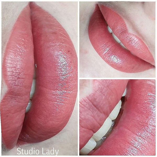 nude lip pigments